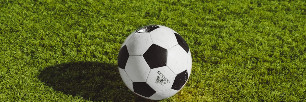 数据可视化图表展示世界杯冠军球队的关键统计数据